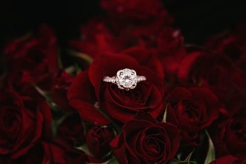 The Muslim's Guide to Getting Married 